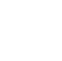 Icon Shield